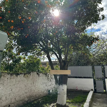 Orange Grove アパート