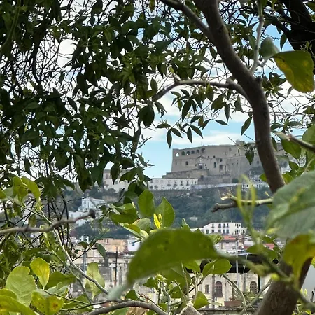 アパート Orange Grove