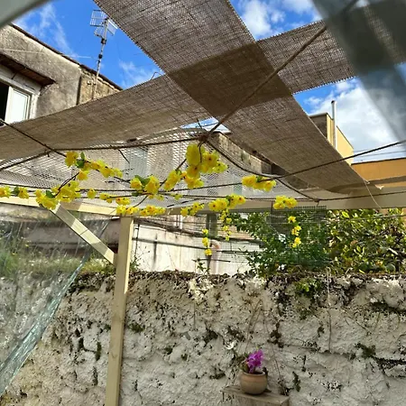 דירה Orange Grove *