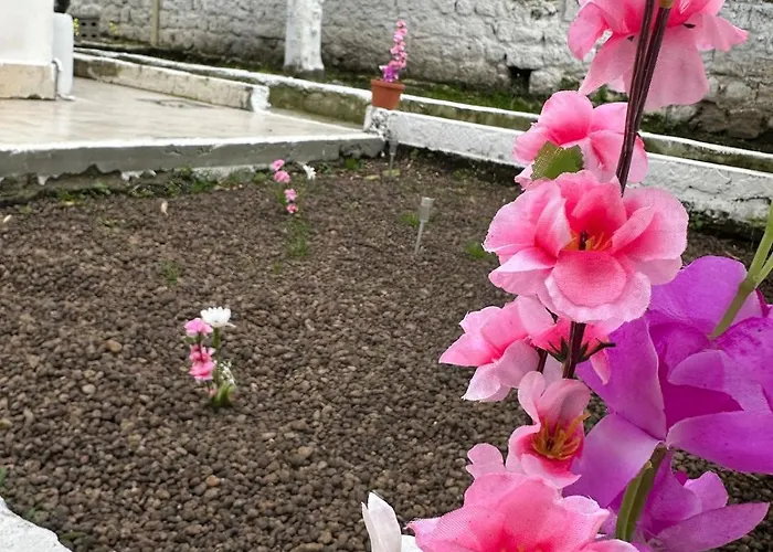 דירה Orange Grove *