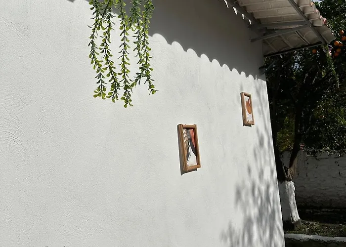 Orange Grove * נאפולי