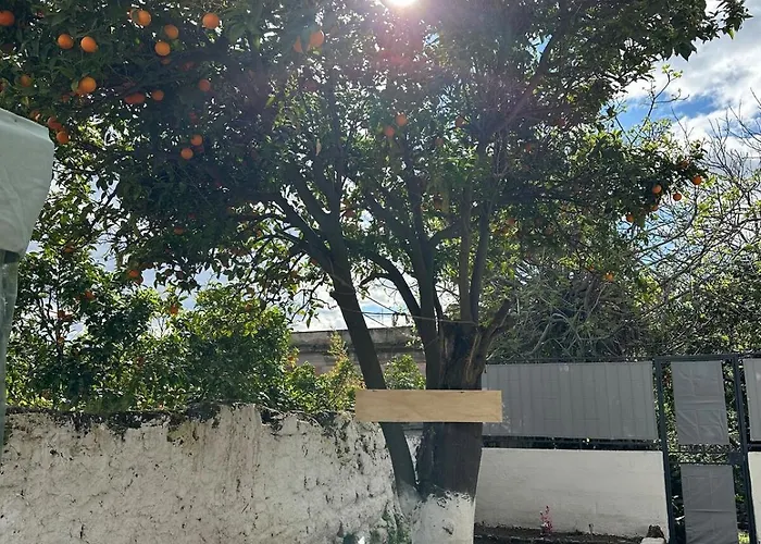 Orange Grove דירה
