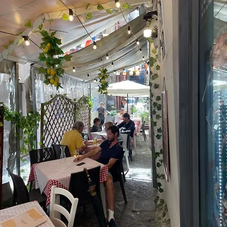 Apartament Orange Grove