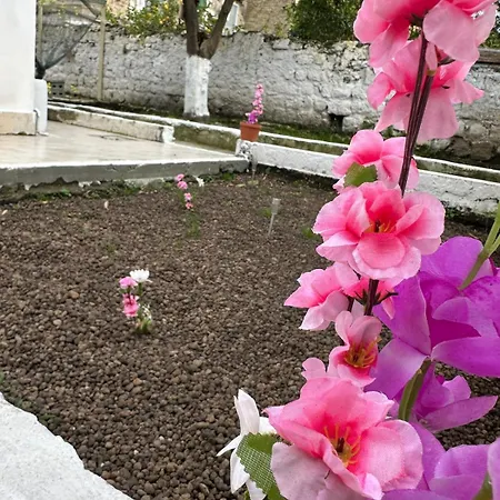 Apartament Orange Grove *