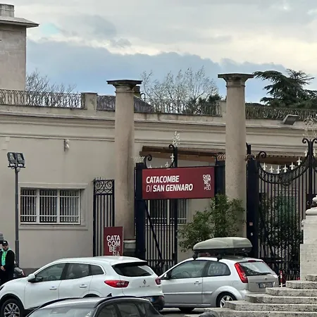 Orange Grove * Neapol