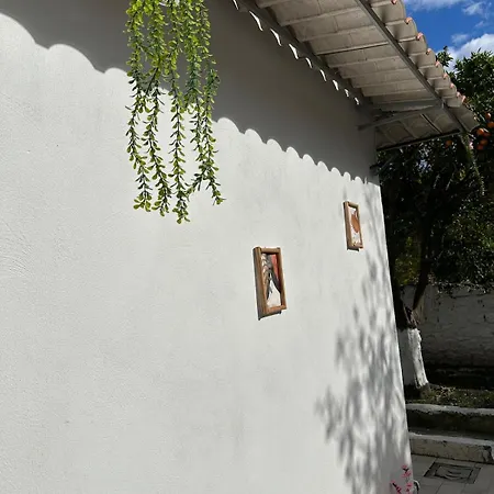 Orange Grove * Neapel