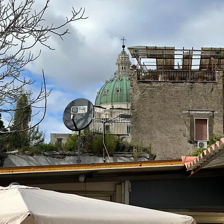 Orange Grove