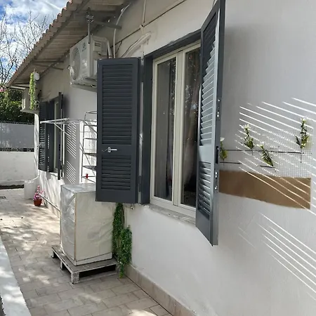 Orange Grove * Neapol