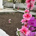 Daire Orange Grove *