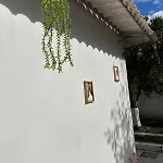 Orange Grove * Napoli