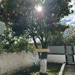 Orange Grove Daire