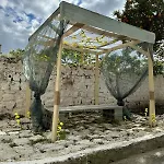 Orange Grove Daire