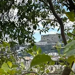 Daire Orange Grove