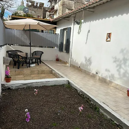Orange Grove *